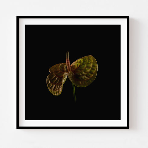 Green Anthurium I - Floral Art Prints