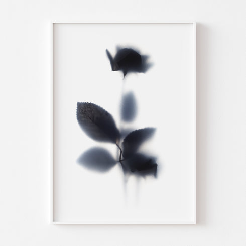 Black Rose Stem Floral Art Print