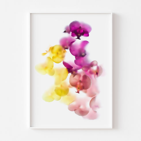 Bright Orchids Floral Art Print