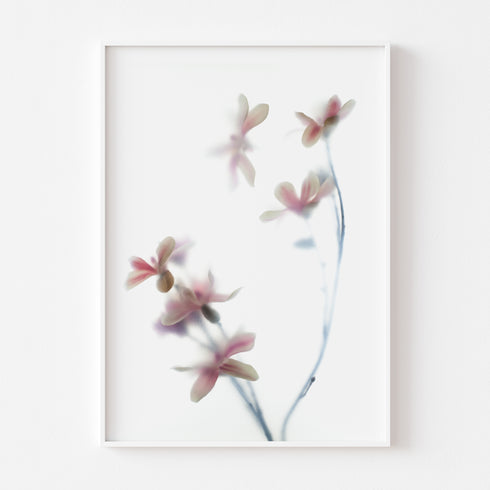 Pink Magnolia Floral Art Print