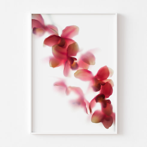 Abstract Pink Orchids Floral Art Print
