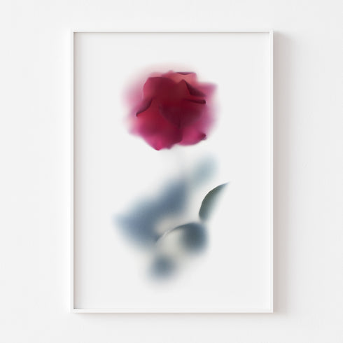 Abstract Pink Rose Floral Art Print