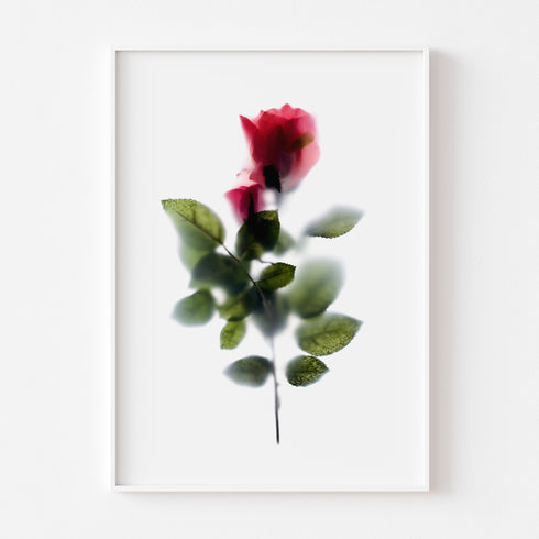 Abstract Impressions I Art Print Set