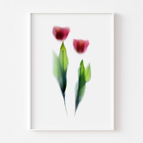 Pink Tulips Art Print Set