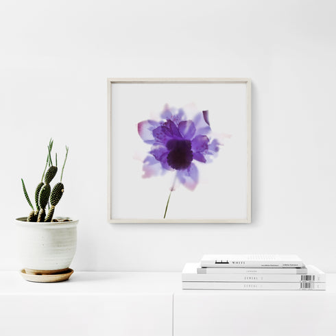 Purple Orchid Floral Art Print
