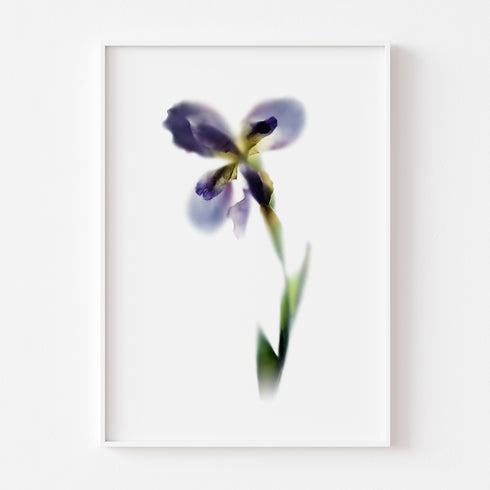 Purple Iris Stem Floral Art Print