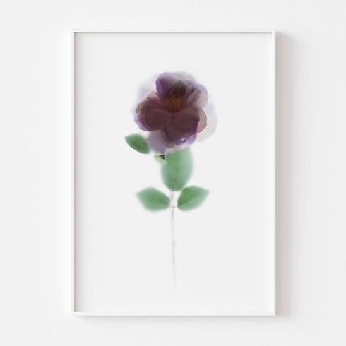 Purple Rose Floral Art Print