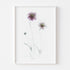Purple Scabiosa Floral Art Print