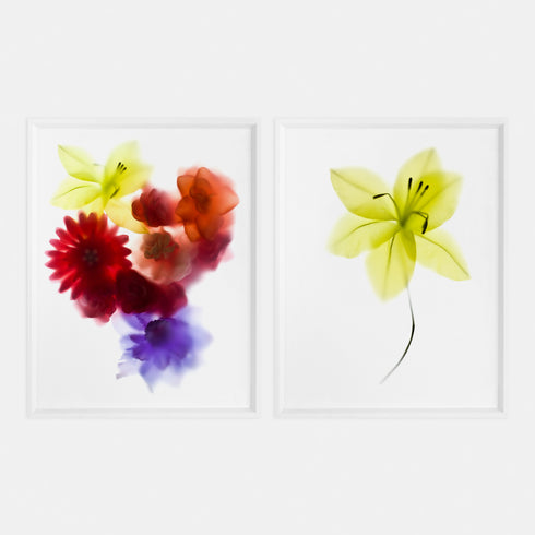 Multi-coloured Blooms Art Print Set