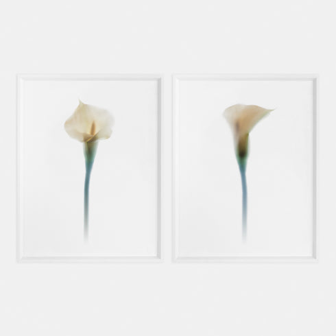 White Calla Lily Art Print Set