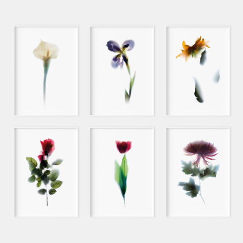 Abstract Impressions I Art Print Set