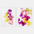 Multi-Coloured Orchids Art Print Set
