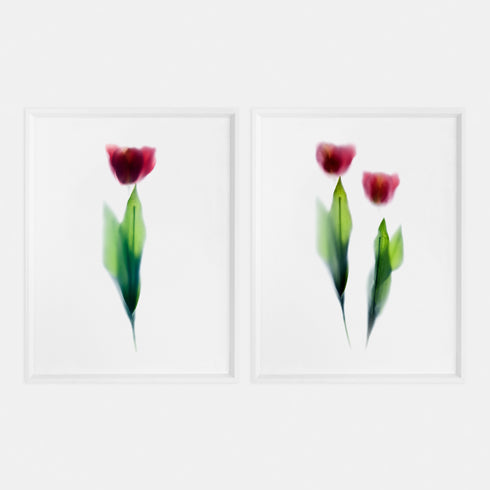 Pink Tulips Art Print Set