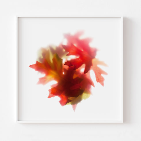 Autumn Leaves II Botanical Art Print
