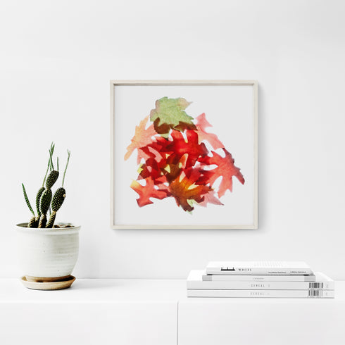 Autumn Leaves I Botanical Art Print