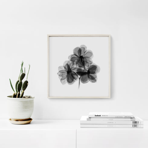 Black Blooms Floral Art Print