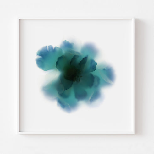 Aqua Blue Rose Floral Art Print