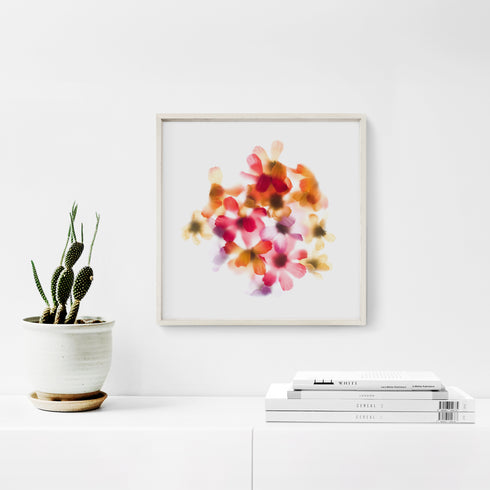 Daisy Mix Flower Art Print