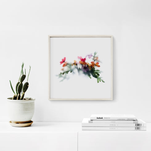 Daisy Garden Flower Art Print