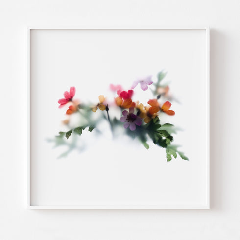 Daisy Garden Flower Art Print