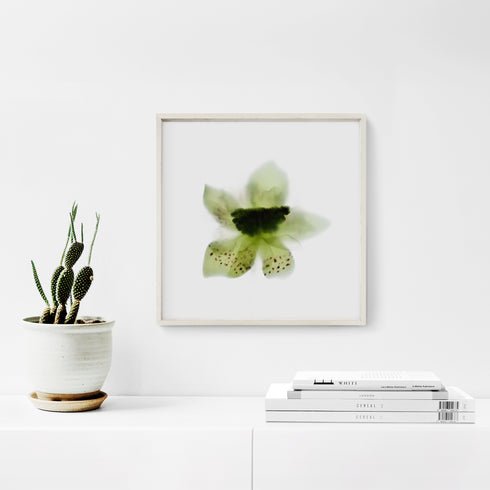 Green Orchid Floral Art Print