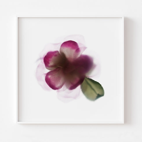 Magenta Bloom Floral Art Print