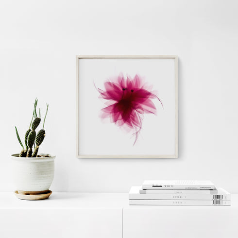 Magenta Lily Floral Art Print