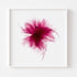 Magenta Lily Floral Art Print
