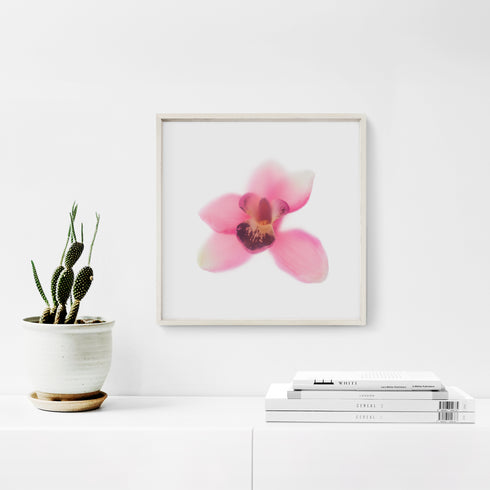 Pink Orchid Floral Art Print