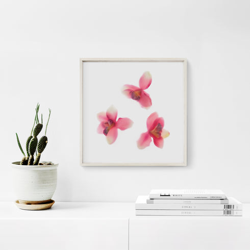 Pink Orchids Trio Floral Art Print