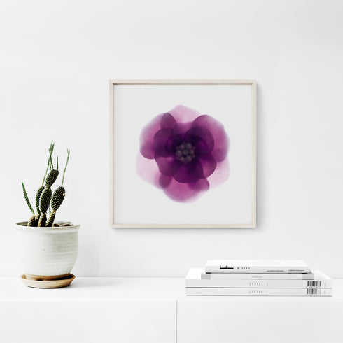 Purple Bloom Floral Art Print