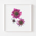 Pink Scabiosa Trio Floral Art Print