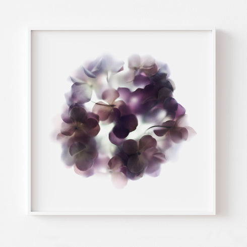 Purple Hydrengea Floral Art Print
