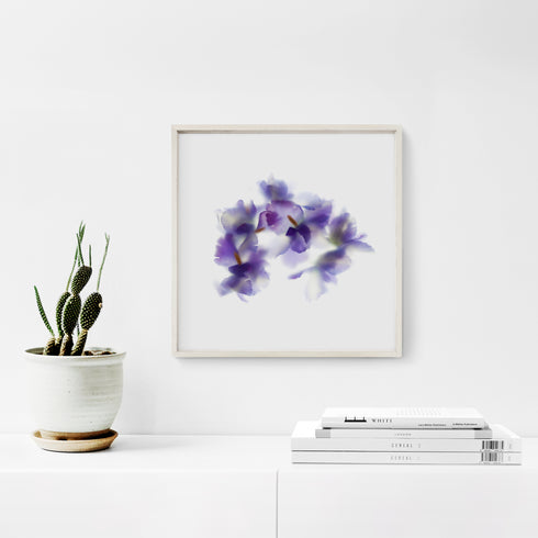 Purple Iris Bunch Floral Art Print