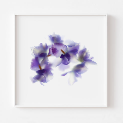 Purple Iris Bunch Floral Art Print