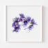 Purple Iris Bunch Floral Art Print