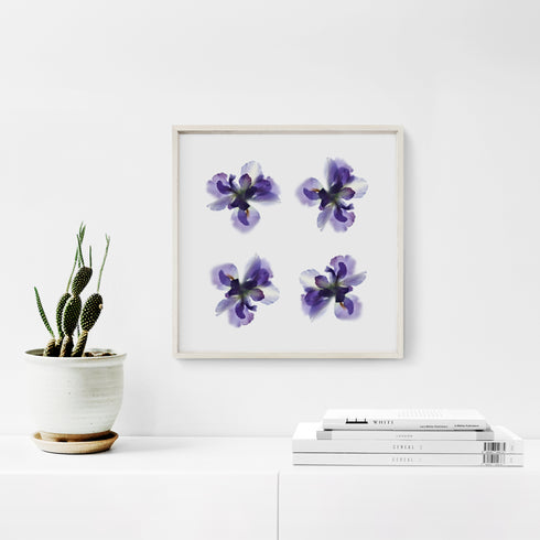 Purple Irides Floral Art Print