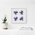 Purple Irides Floral Art Print