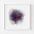 Purple Rose Floral Art Print