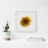Yellow Dahlia Flower Print
