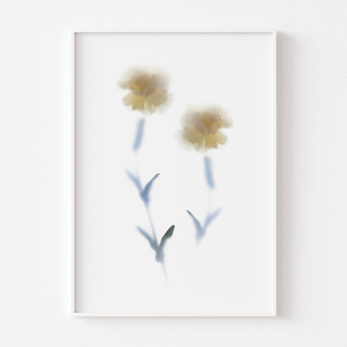 White Carnations Art Print