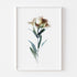 White Lily Stem Floral Art Print