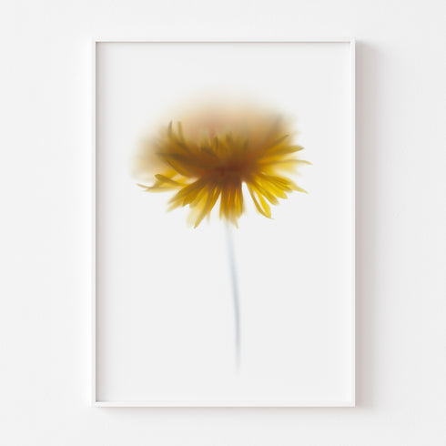 Yellow Dahlia Floral Art Print