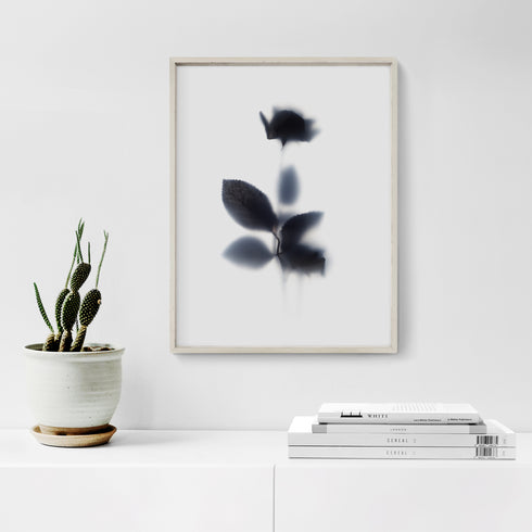Black Rose Stem Floral Art Print