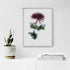 Pink Chrysanthemum Floral Art Print