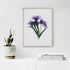 Purple Iris Bunch Floral Art Print