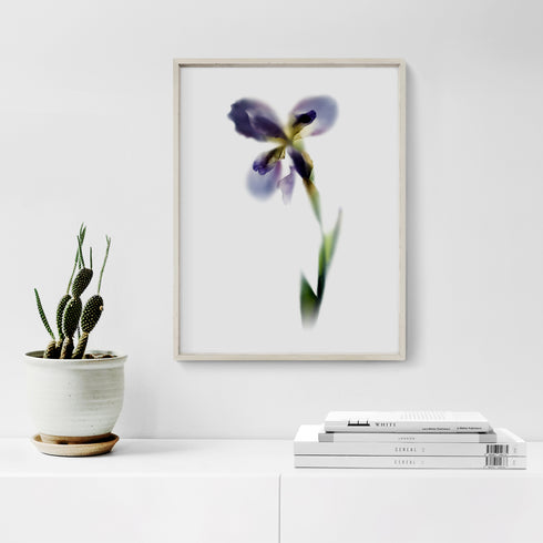 Purple Iris Stem Floral Art Print