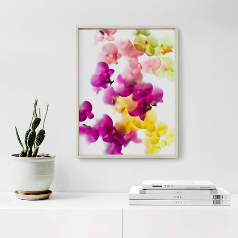 Bright Orchids II Floral Art Print