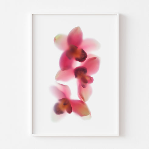 Pink Orchid Trio Floral Art Print