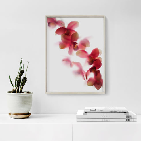 Abstract Pink Orchids Floral Art Print
